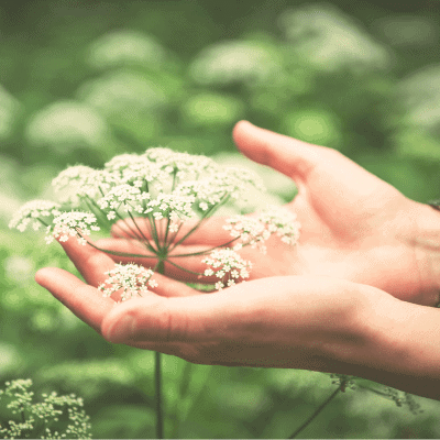 What Are You Holding Onto?