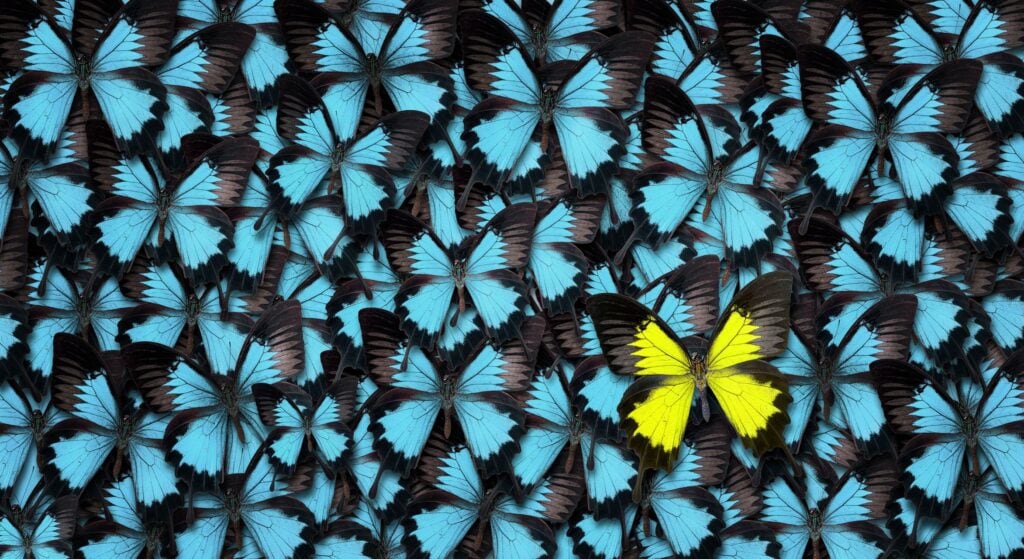 Blue and yellow butterflies clustered together, symbolizing transformation and growth.
