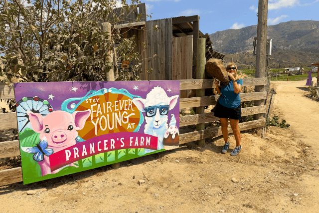 Girl hugging a llama at Prancer's Farm with colorful sign in the background.