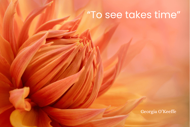 Close-up of a vibrant orange flower with the quote 'To see takes time' by Georgia O'Keeffe.