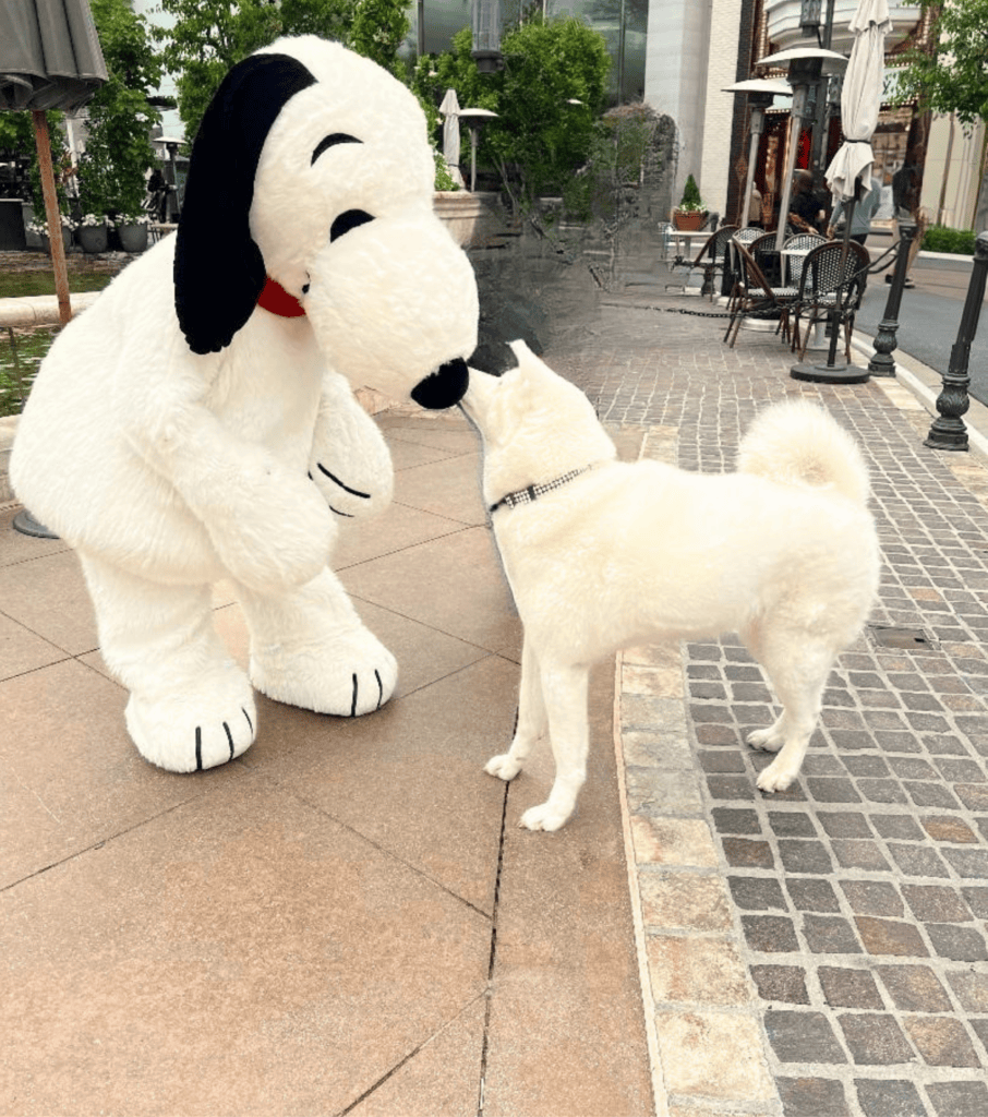 Person in Snoopy costume interacting with a white dog on a city sidewalk.